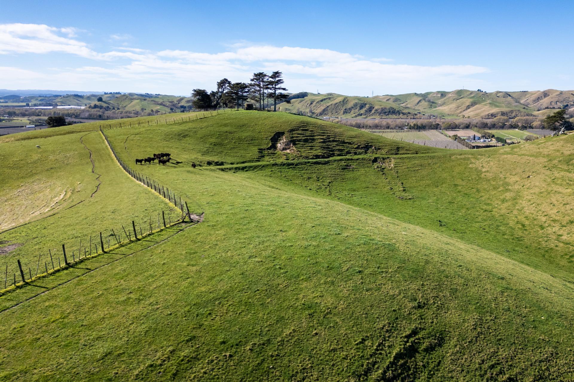 201 Breckenridge Road, Puketapu