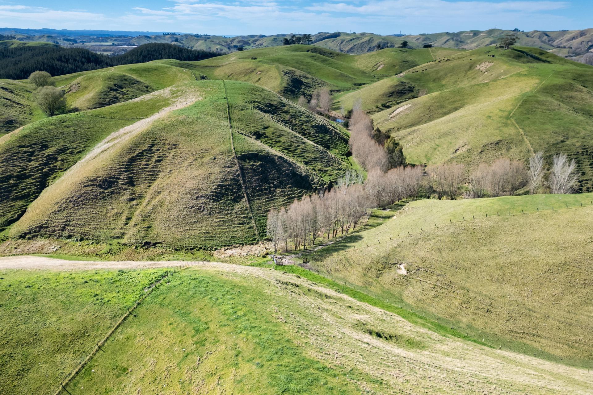 201 Breckenridge Road, Puketapu