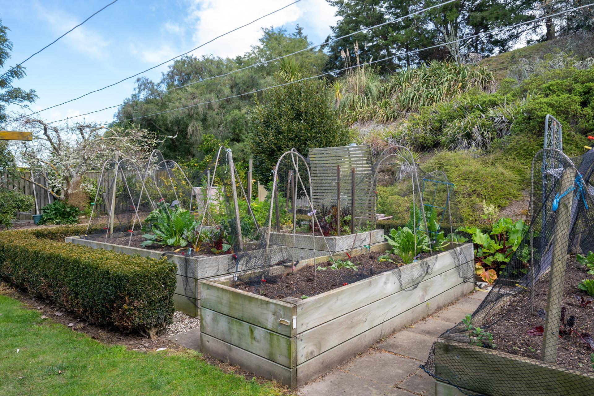 201 Breckenridge Road, Puketapu