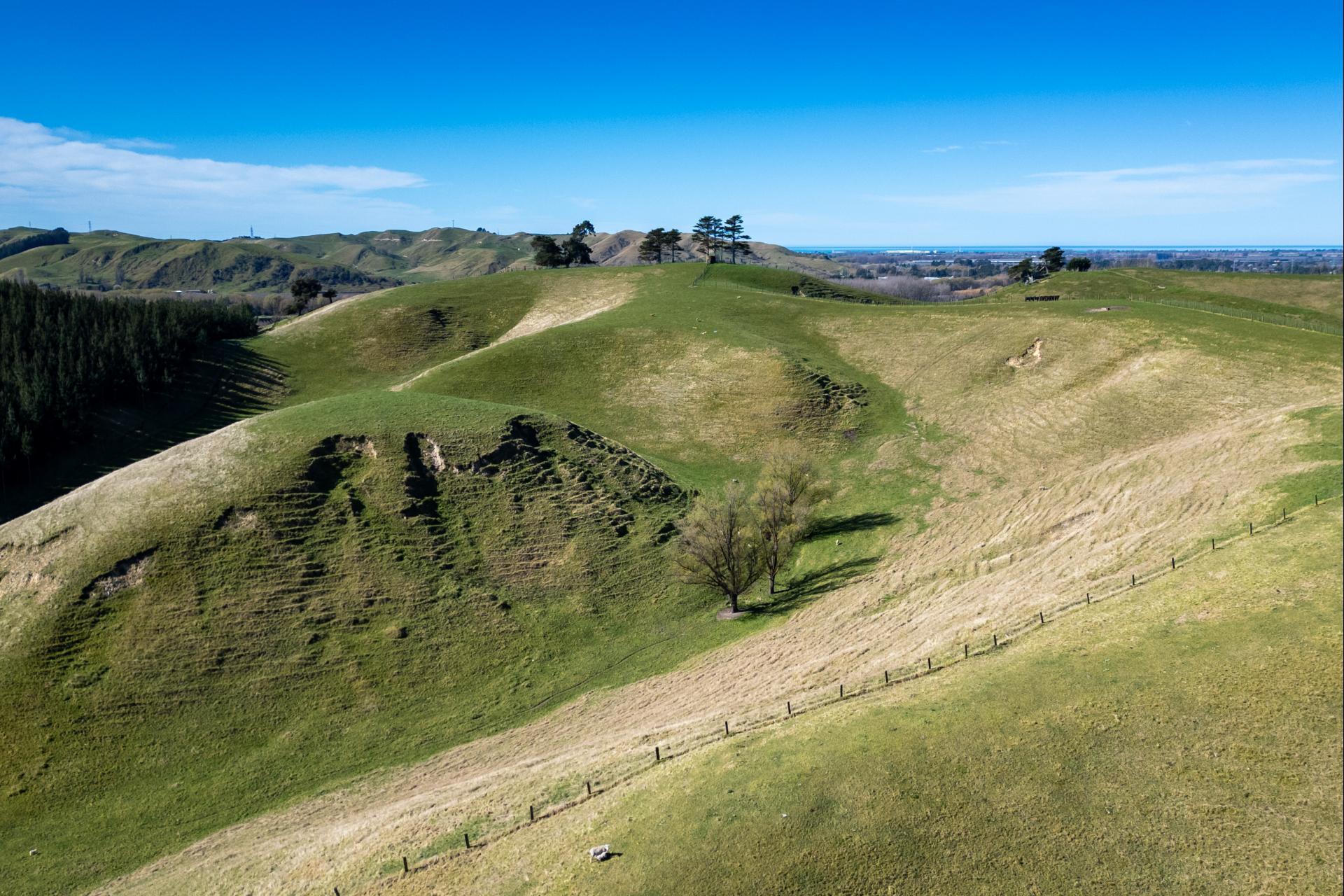 201 Breckenridge Road, Puketapu