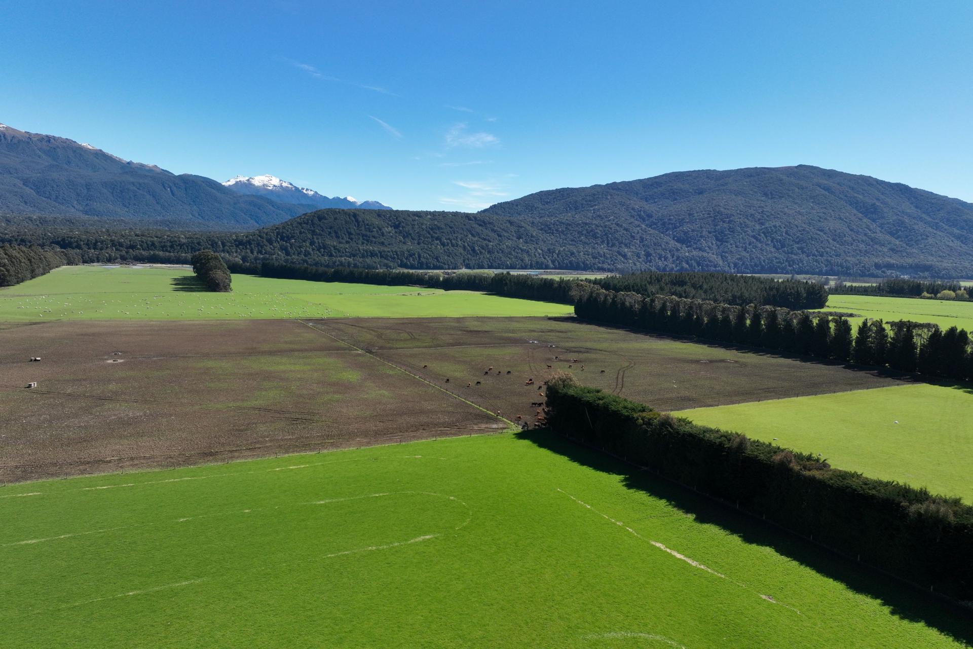 2211 Blackmount Redcliff Road, Whare Creek