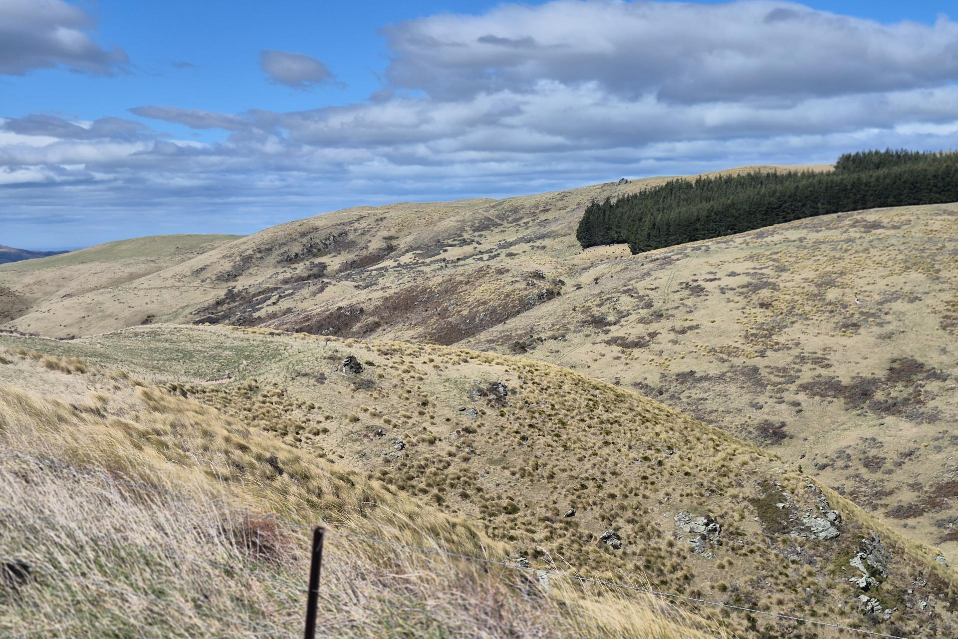 Golden Bar Road, Dunback