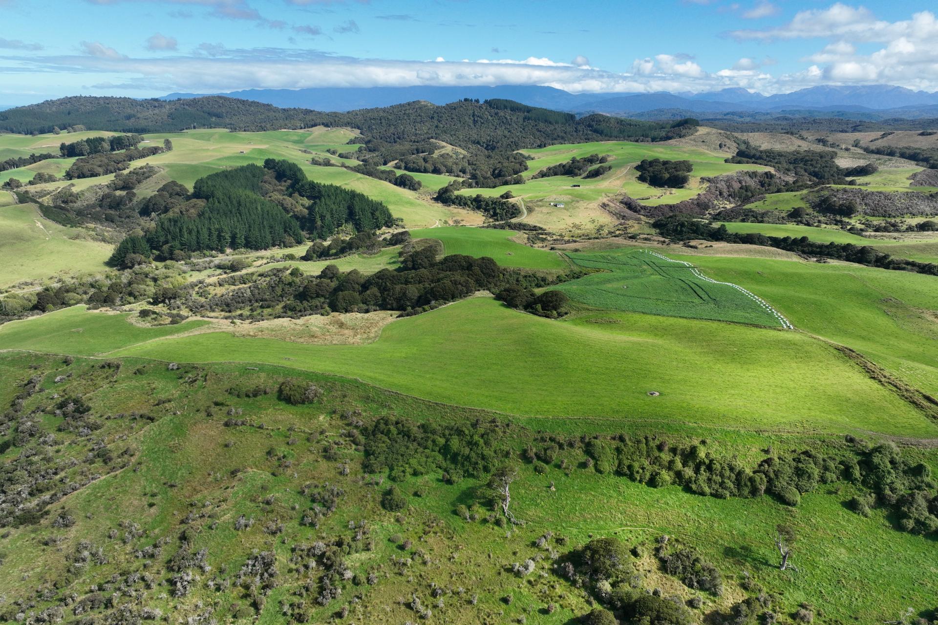457 Grove Burn Road, Tuatapere