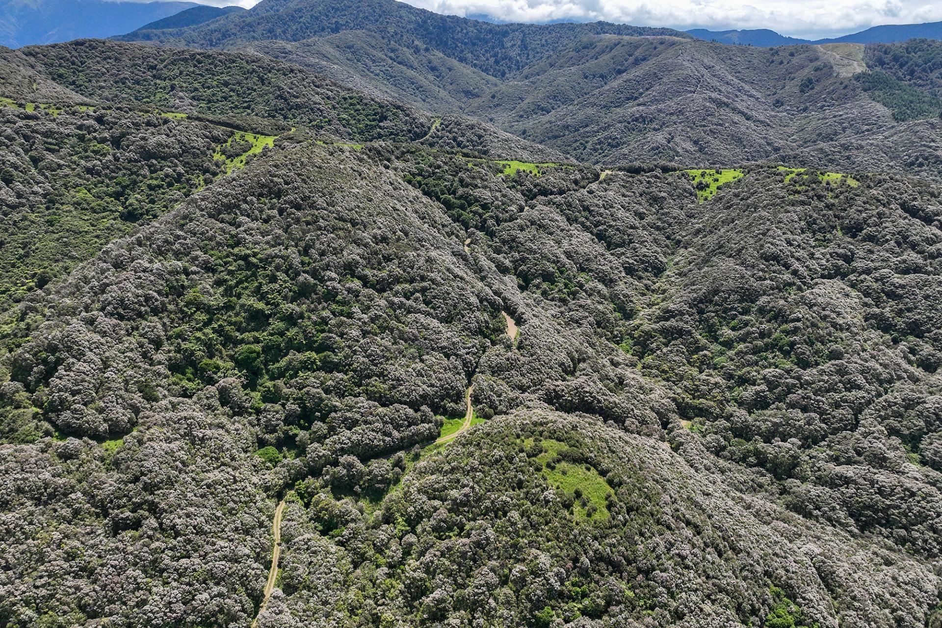 85696 State Highway 2, Mount Bruce
