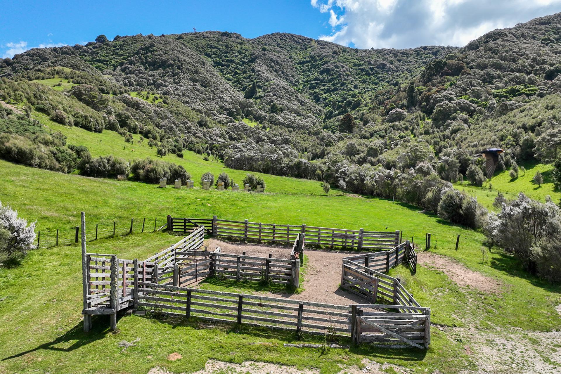 85696 State Highway 2, Mount Bruce
