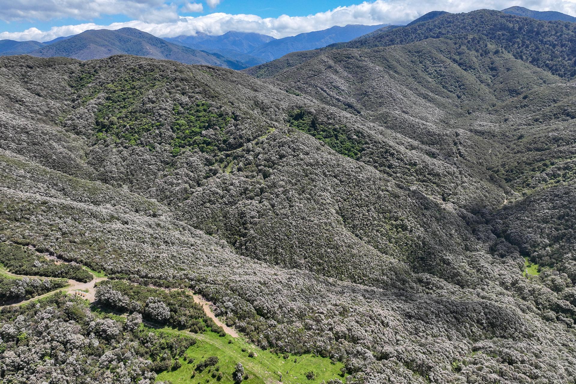 85696 State Highway 2, Mount Bruce