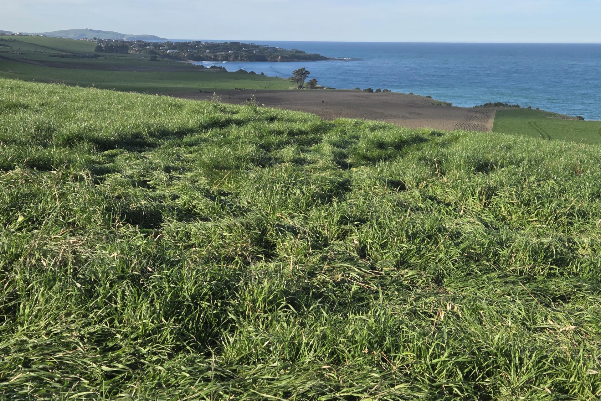 1183 Waianakarua Road, Kakanui