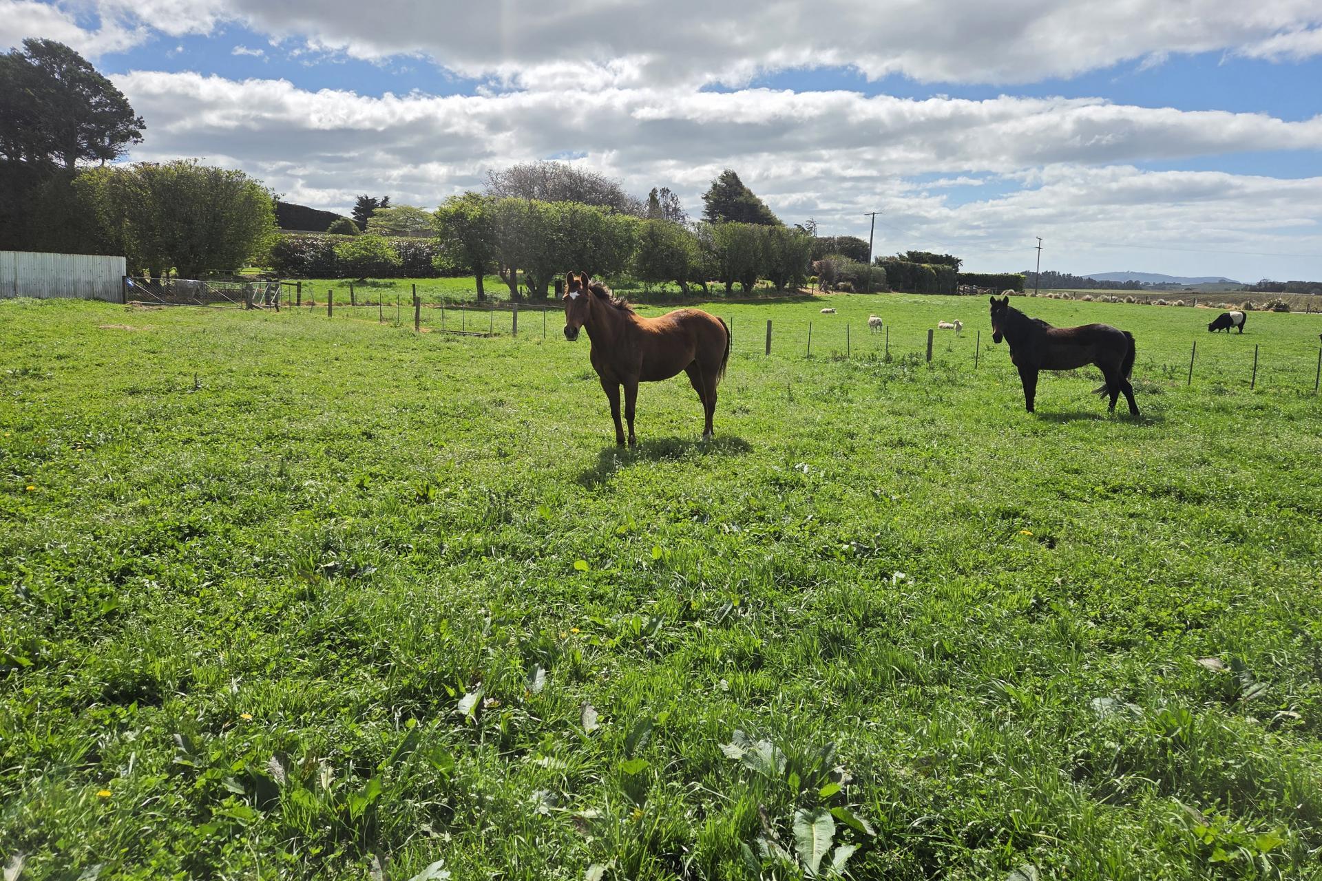 1183 Waianakarua Road, Kakanui