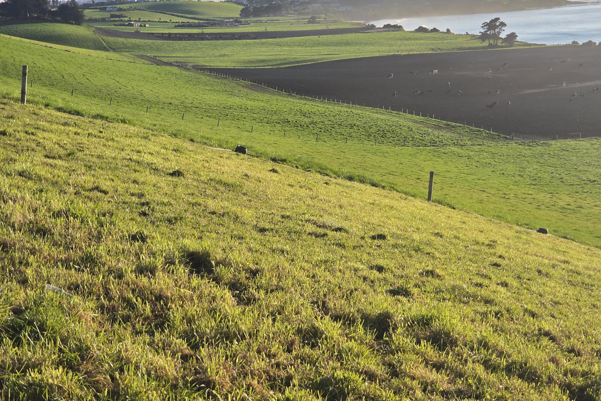 1183 Waianakarua Road, Kakanui