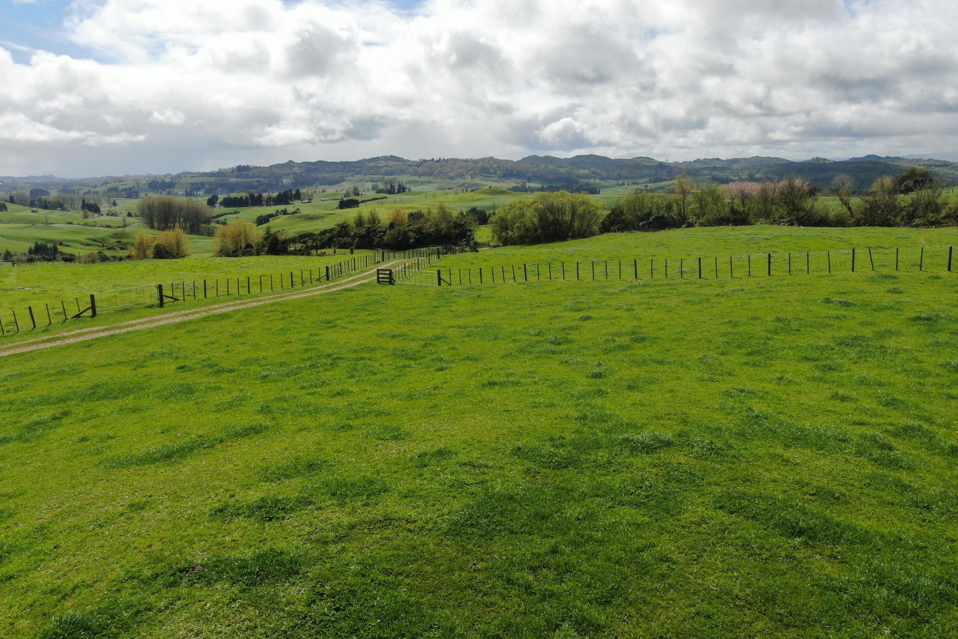 694 Troopers Road, Te Kuiti