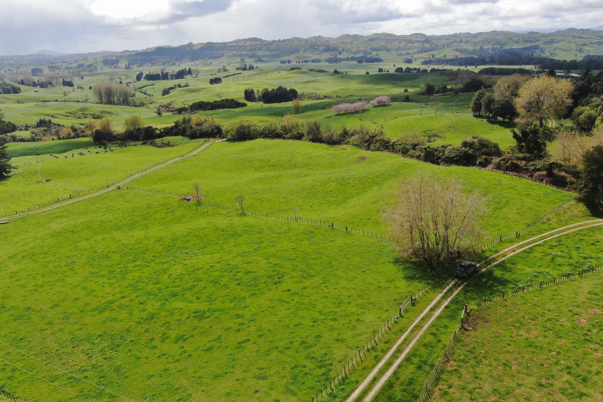 694 Troopers Road, Te Kuiti