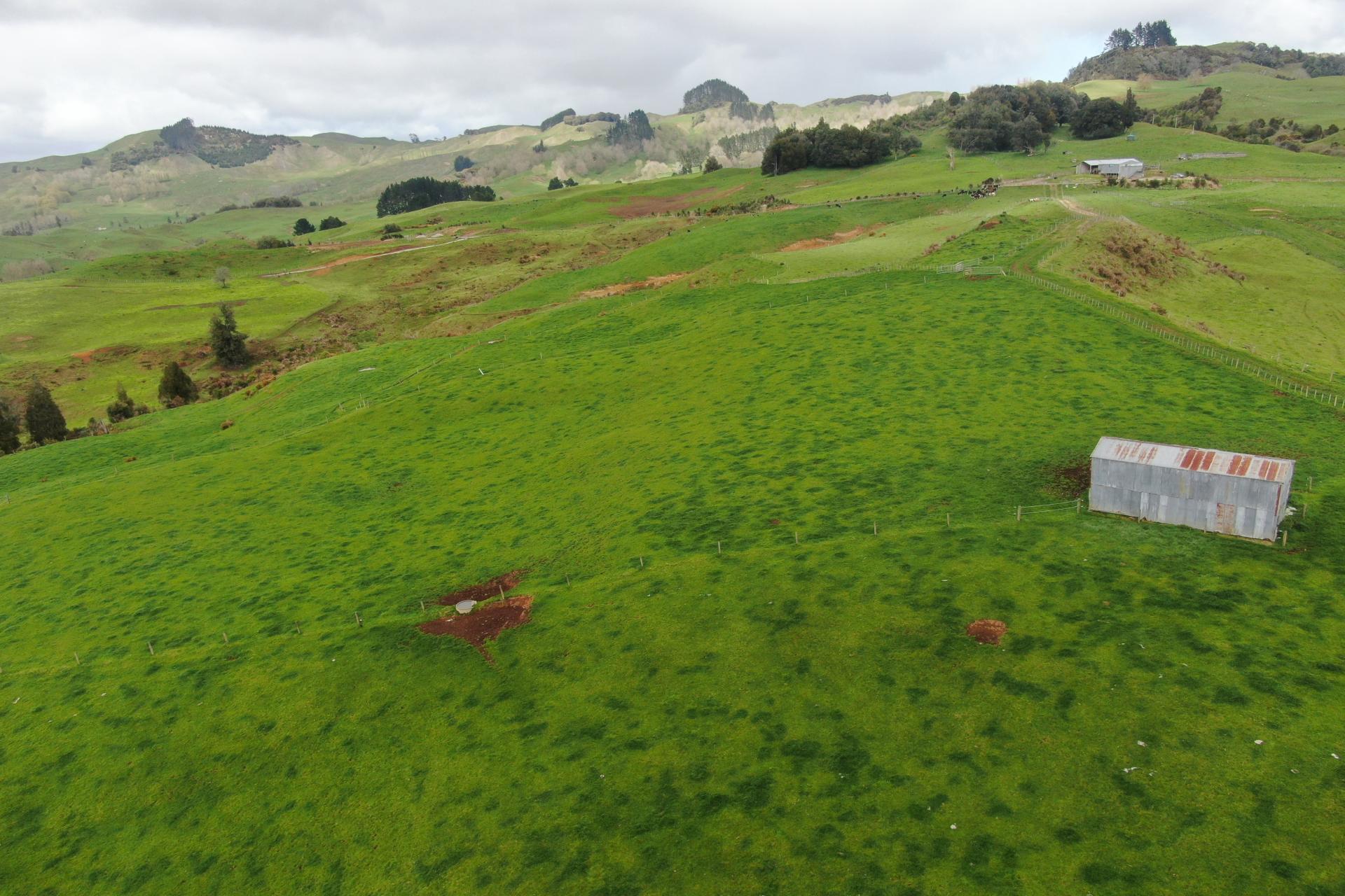 694 Troopers Road, Te Kuiti