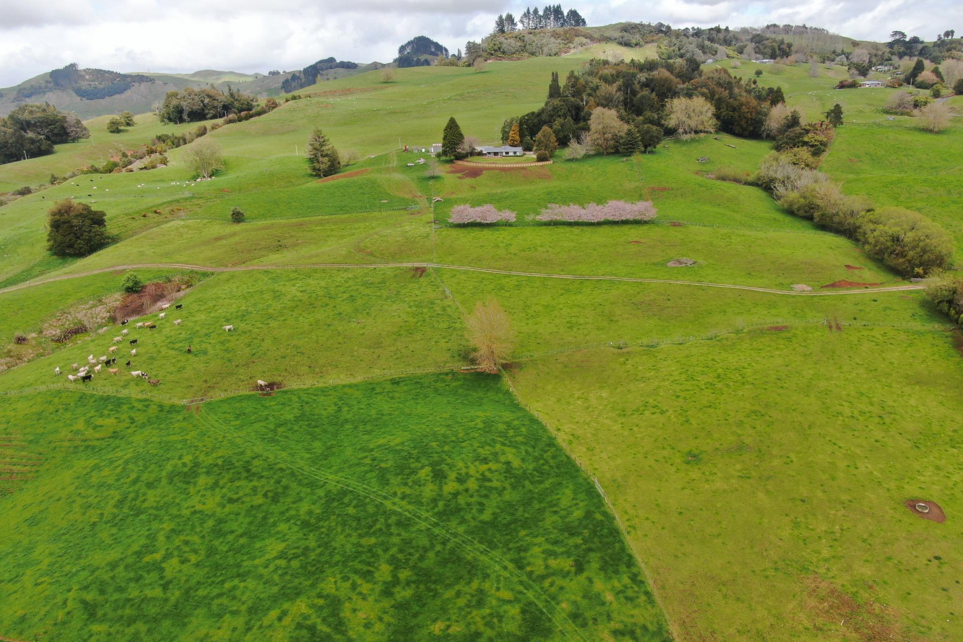 694 Troopers Road, Te Kuiti