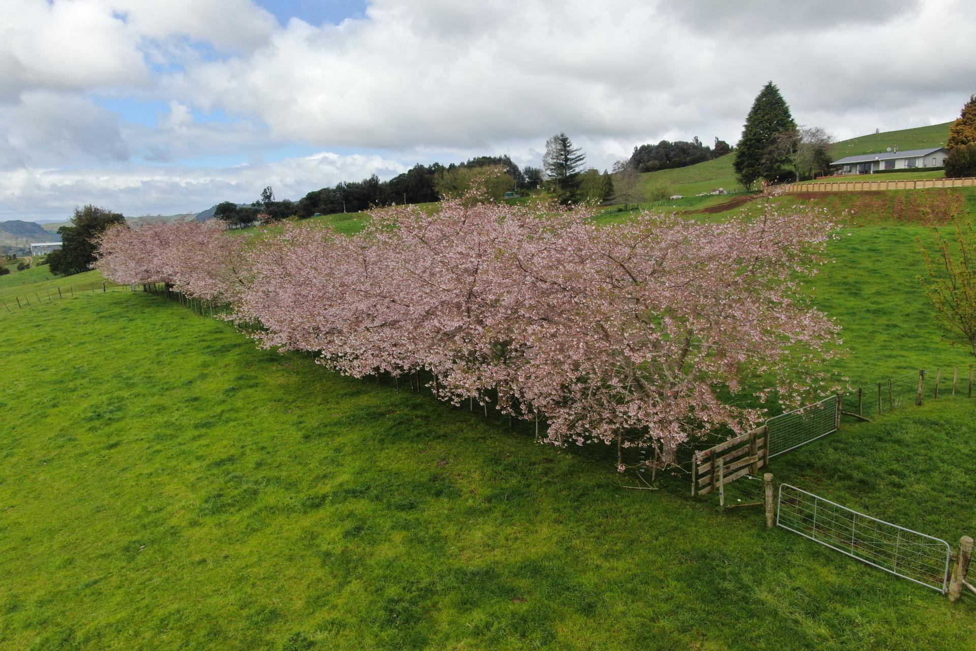 694 Troopers Road, Te Kuiti