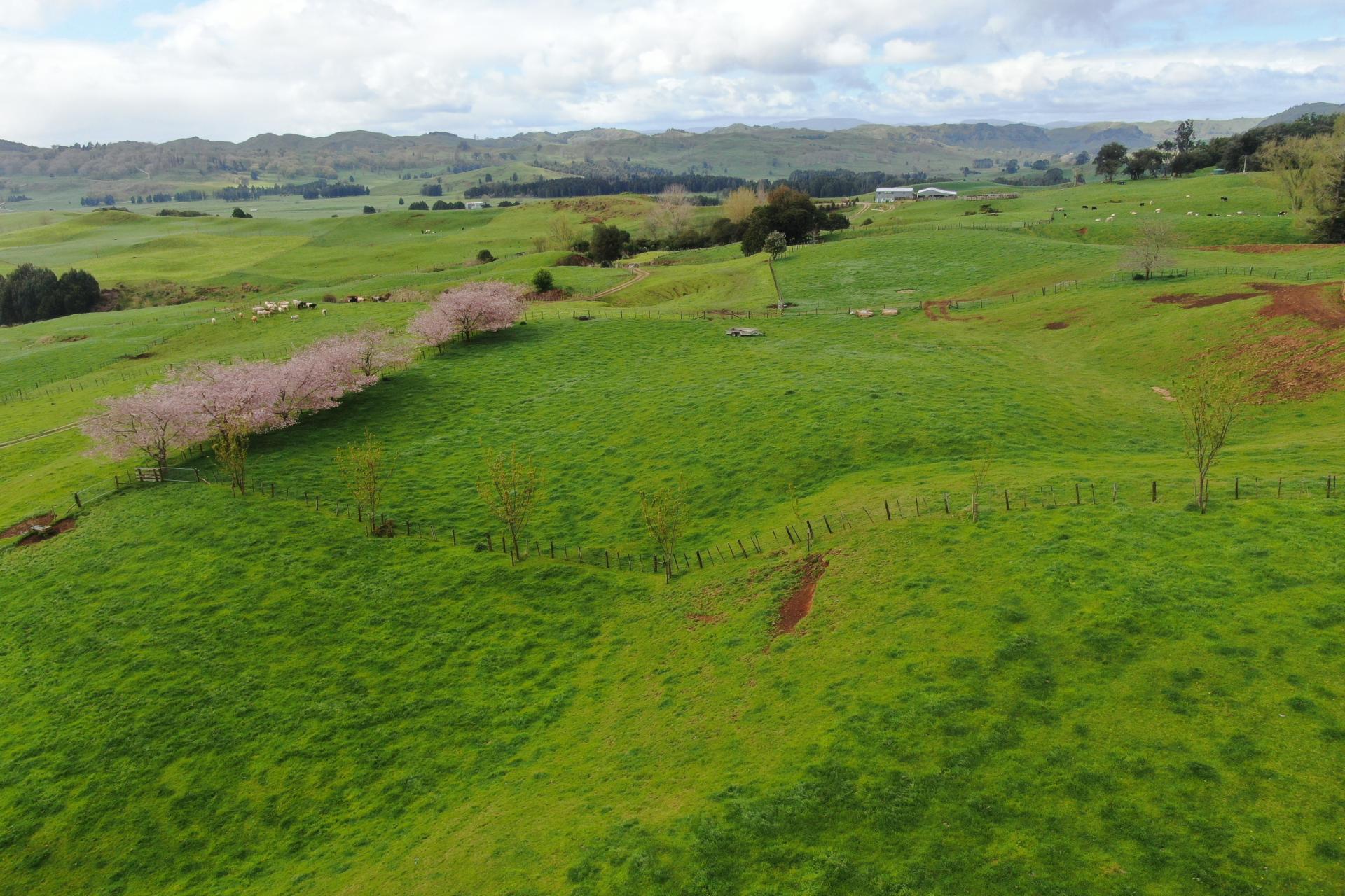 694 Troopers Road, Te Kuiti