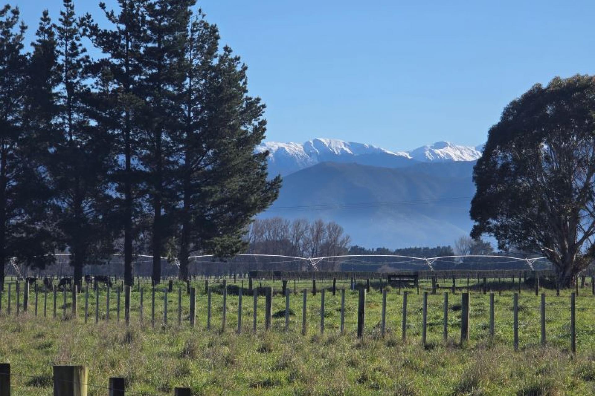 Kahutara  Road, Martinborough