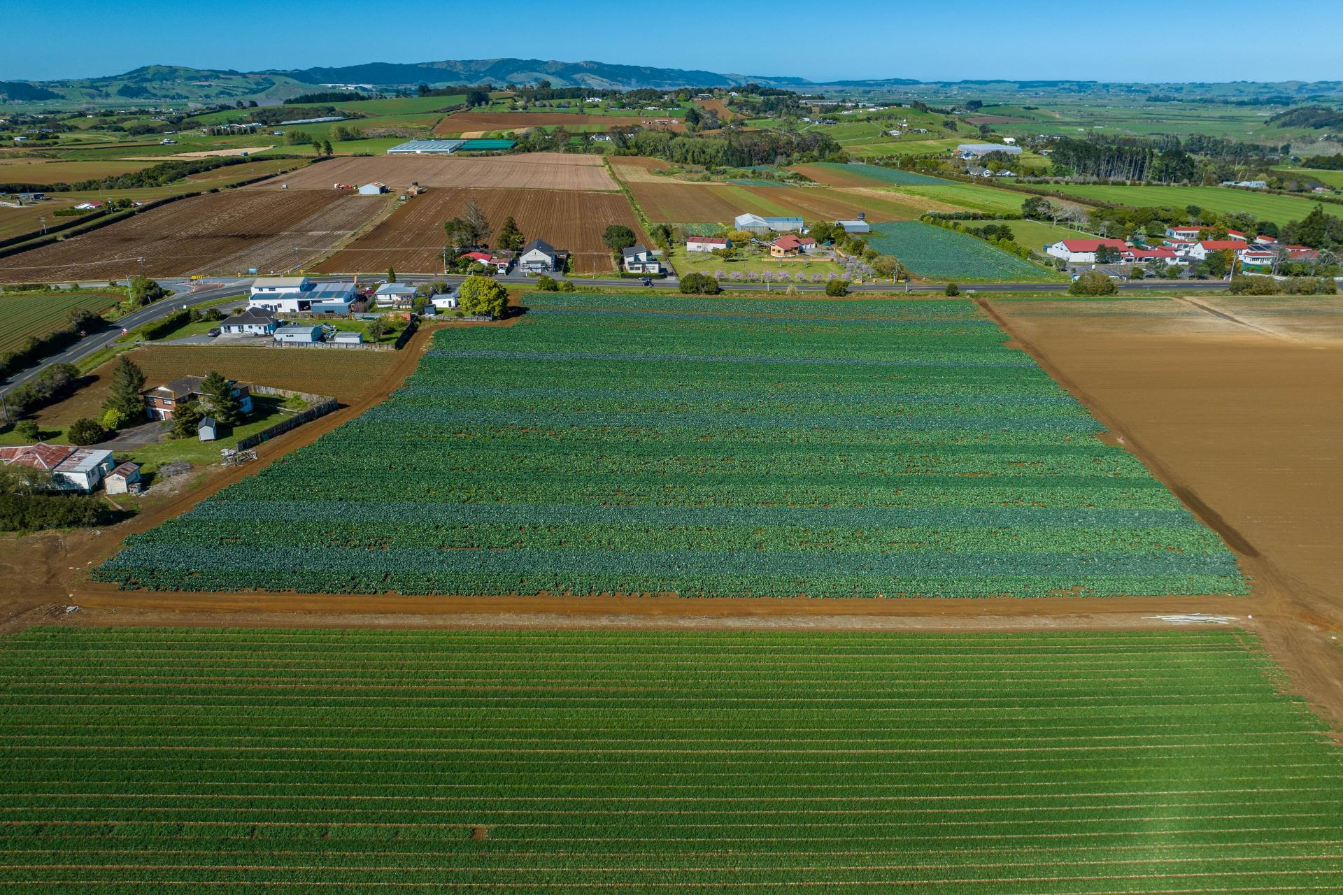 292 Waiuku Road, Puni