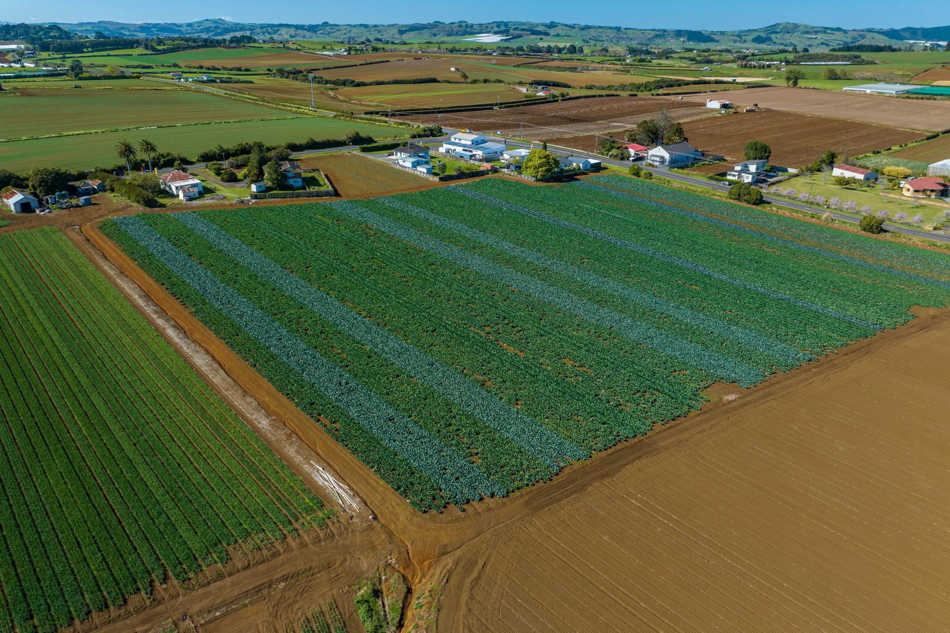 292 Waiuku Road, Puni