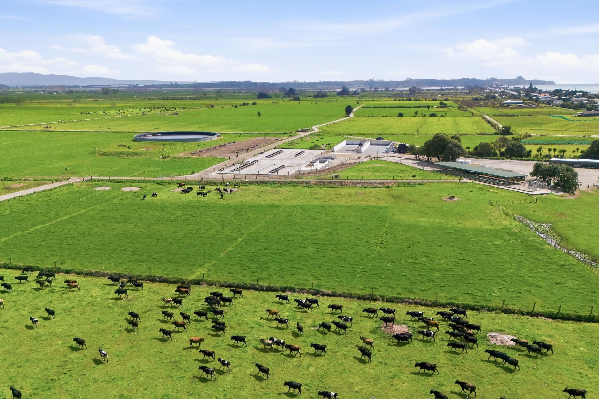 155 Cutwater Road and 2 Gardiner Place, Pukehina