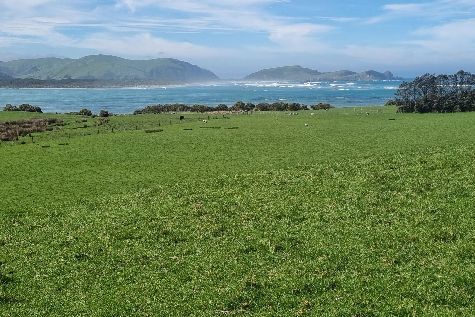 620 Hinahina Road, Catlins Surrounds