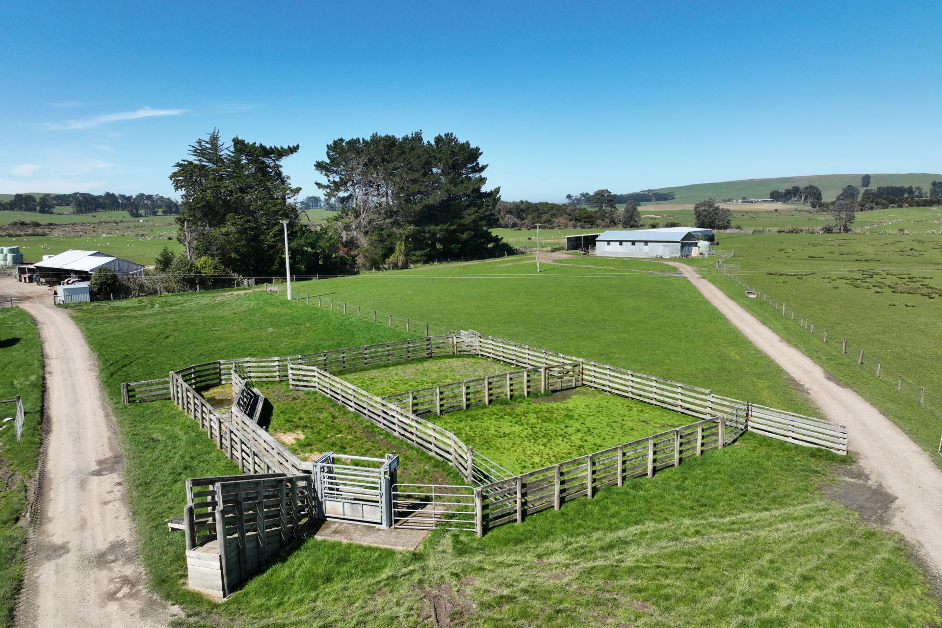 620 Hinahina Road, Catlins Surrounds