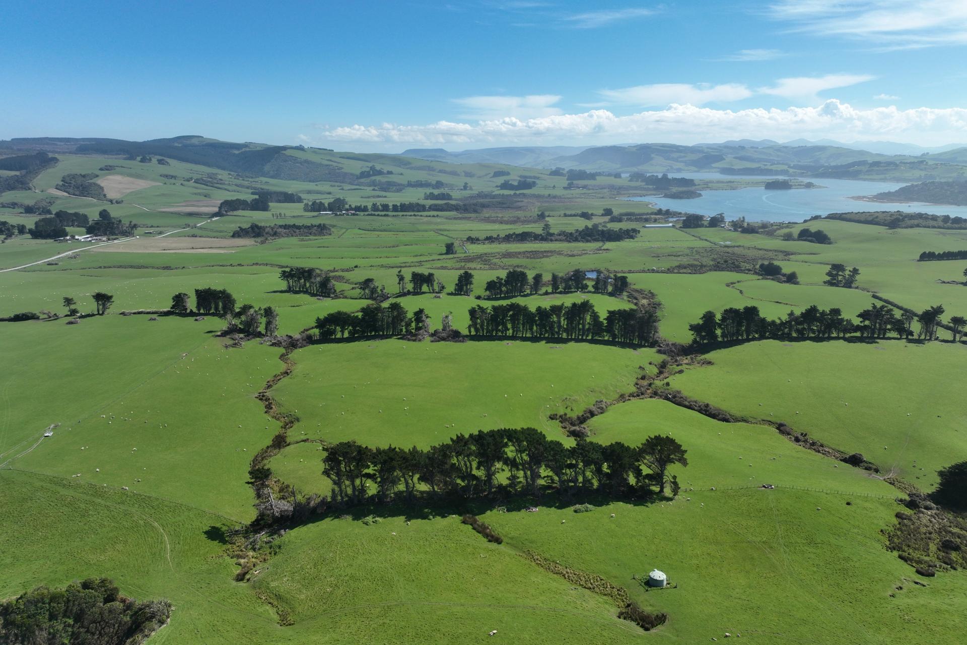 620 Hinahina Road, Catlins Surrounds