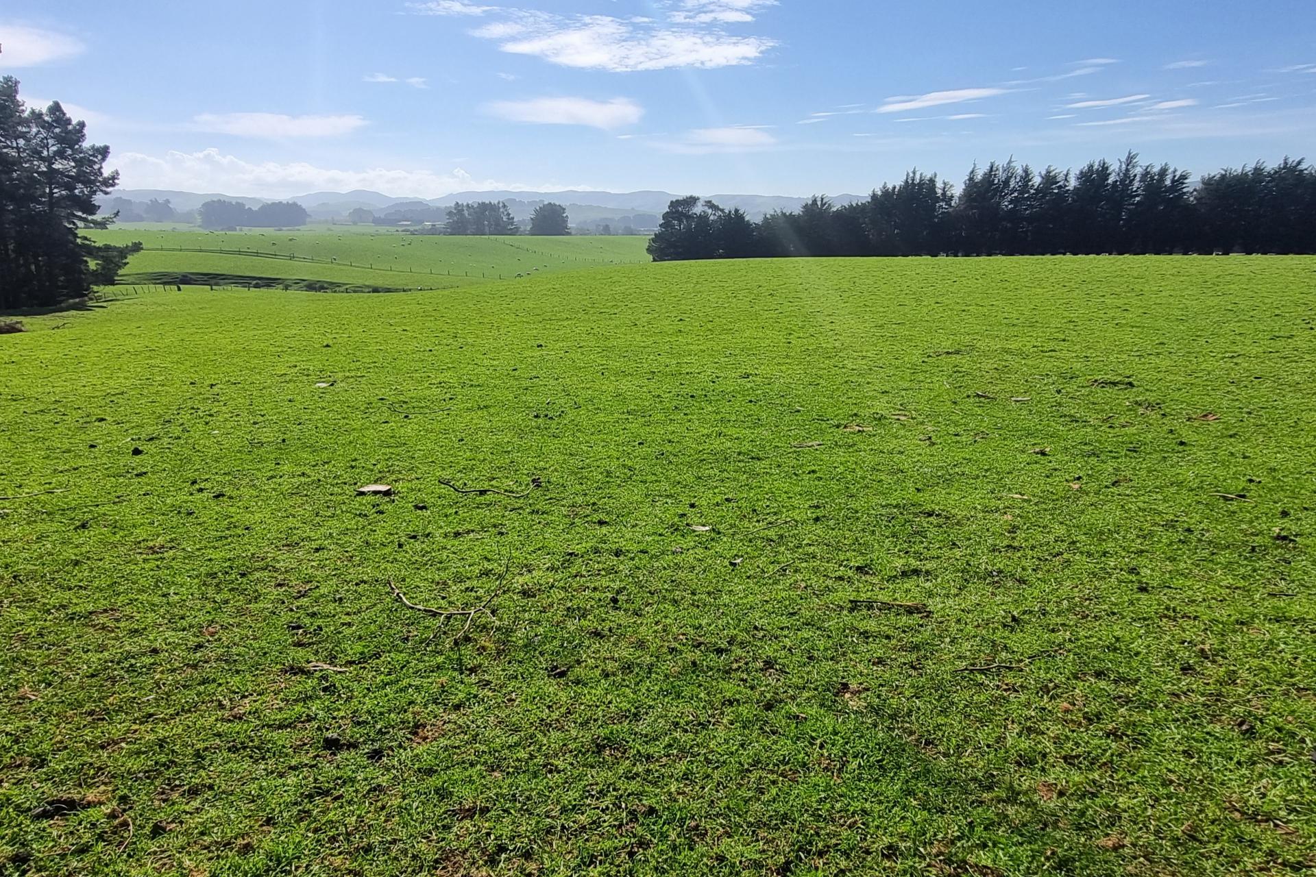 620 Hinahina Road, Catlins Surrounds