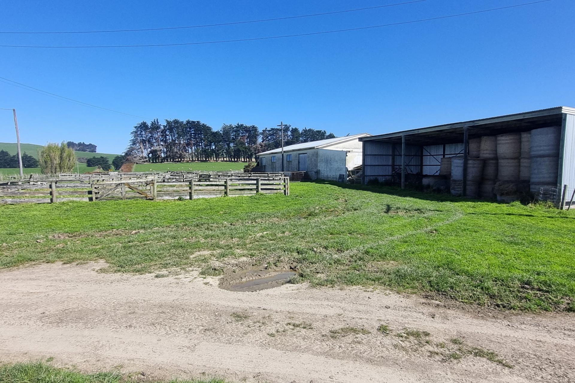 620 Hinahina Road, Catlins Surrounds