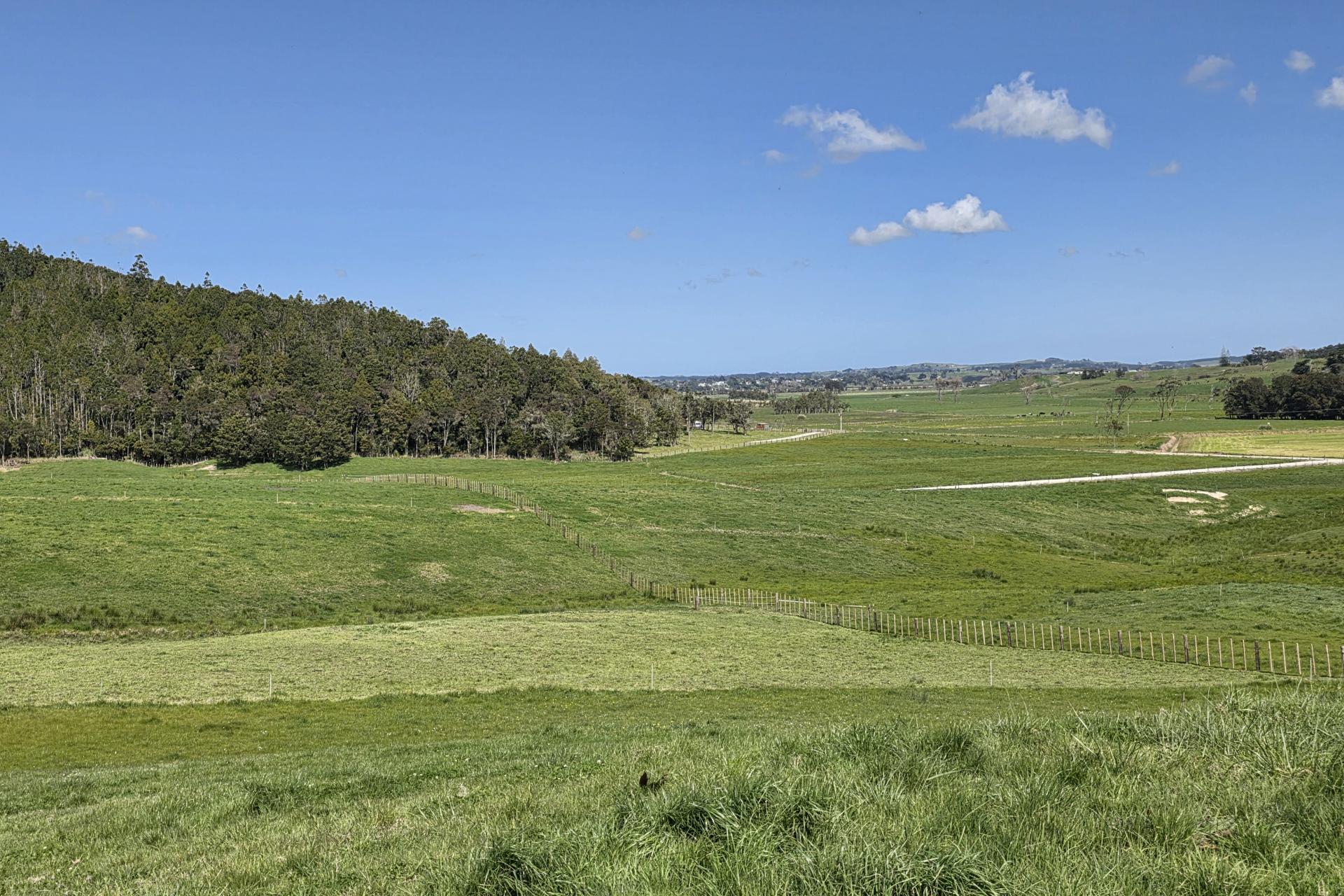Lot 7 Mititai Road, Dargaville