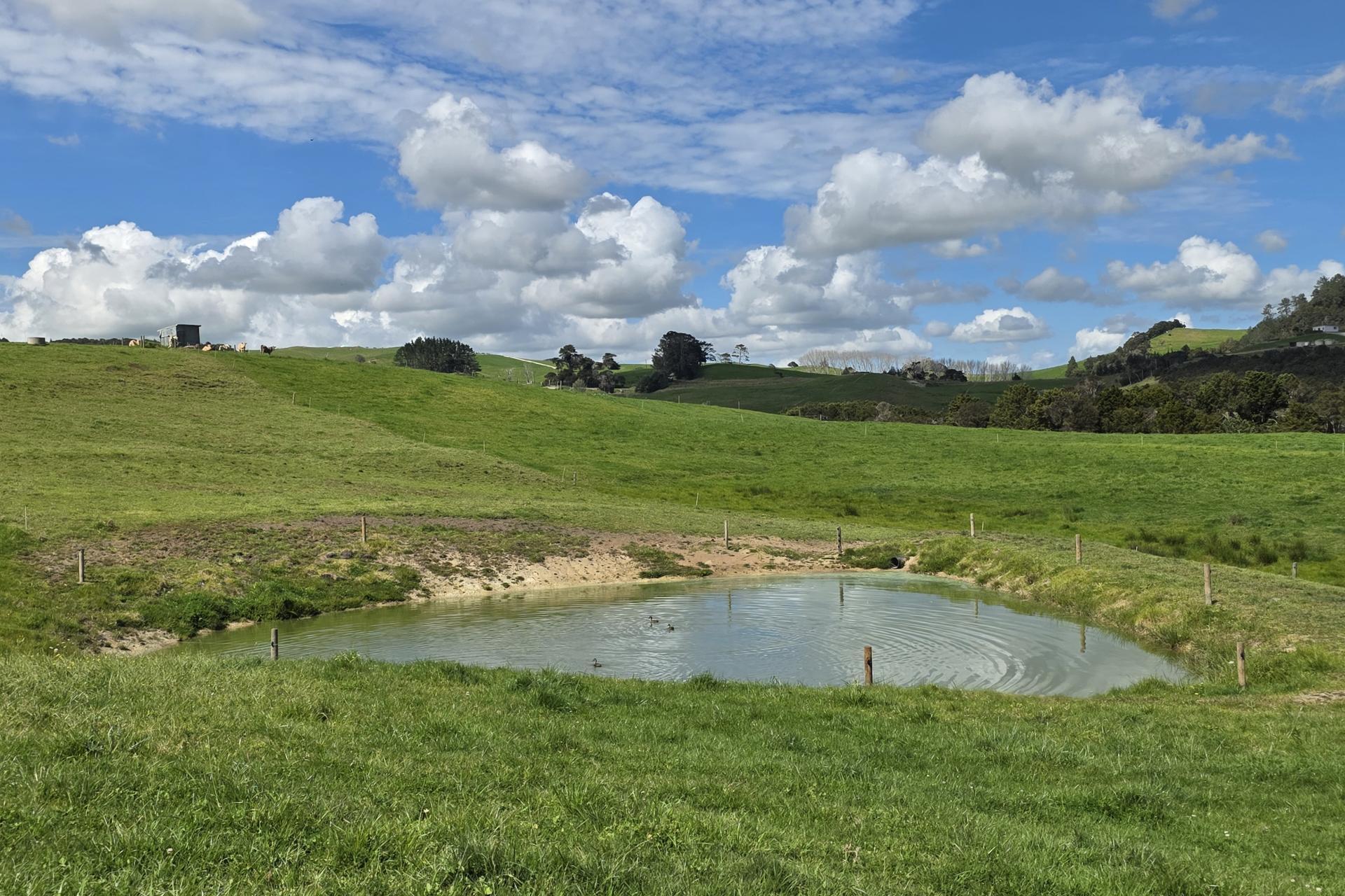Lot 7 Mititai Road, Dargaville