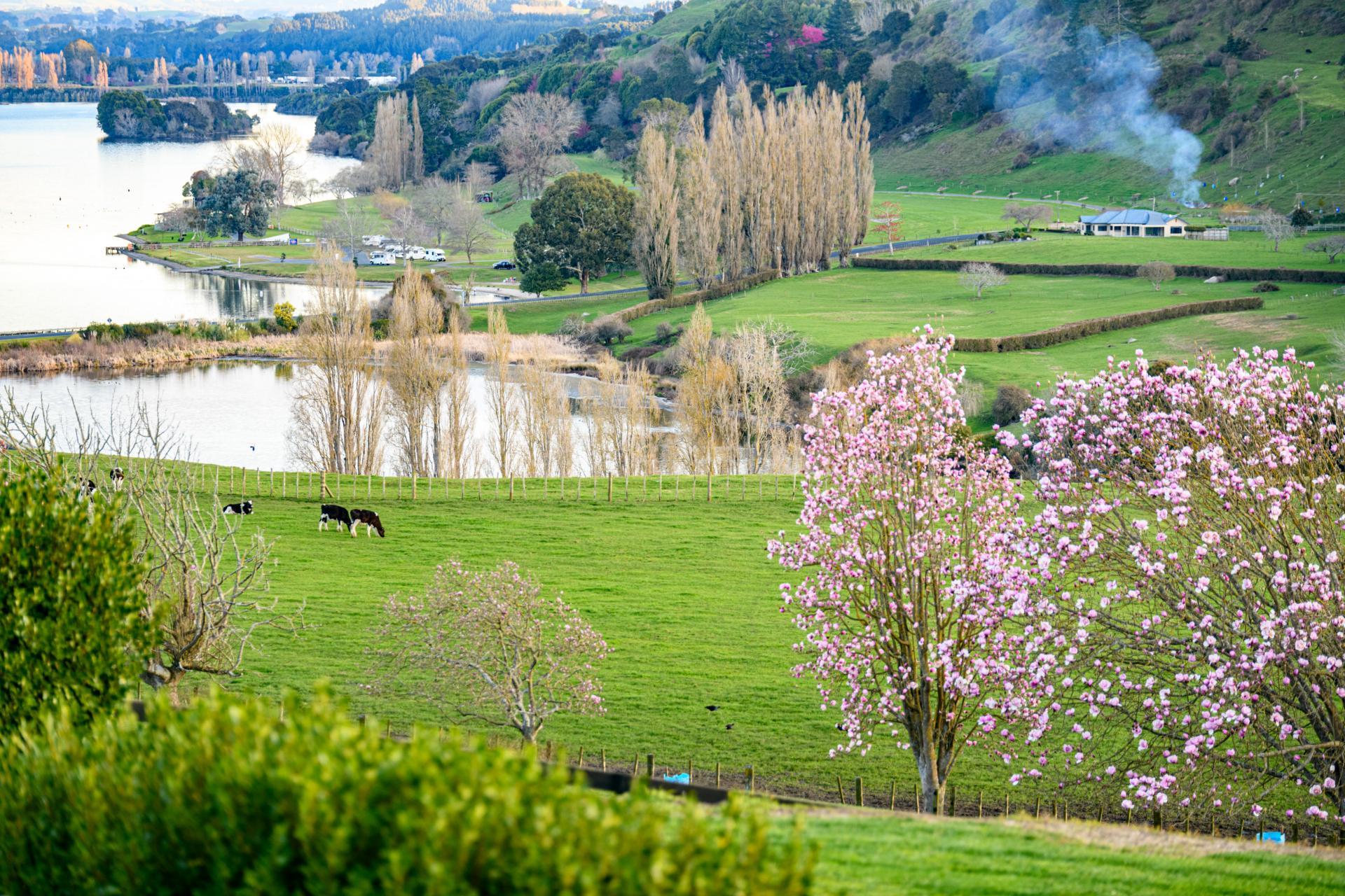 2400 Maungatautari Road, Cambridge