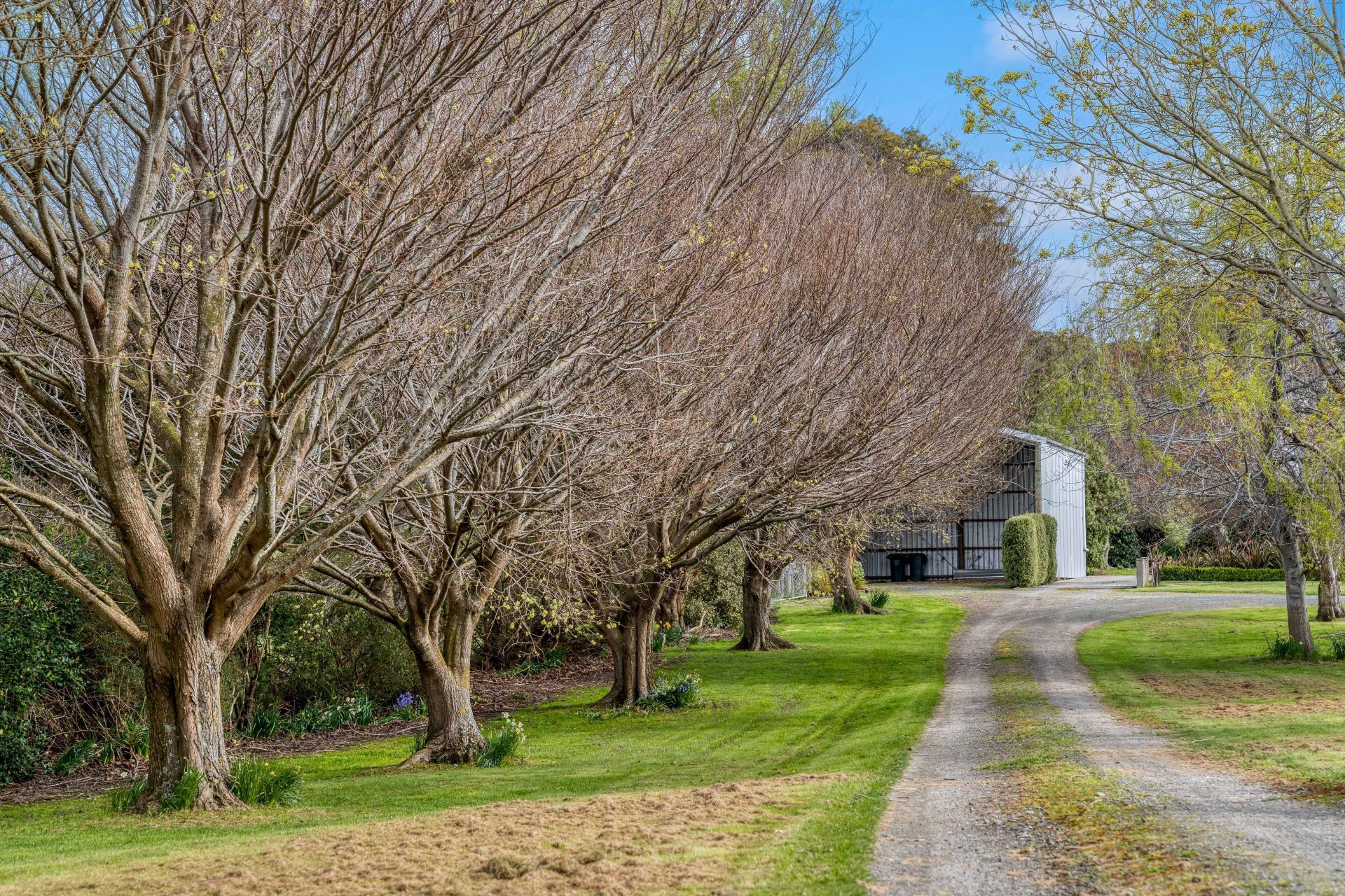3660 Waipahi Highway, Wairuna