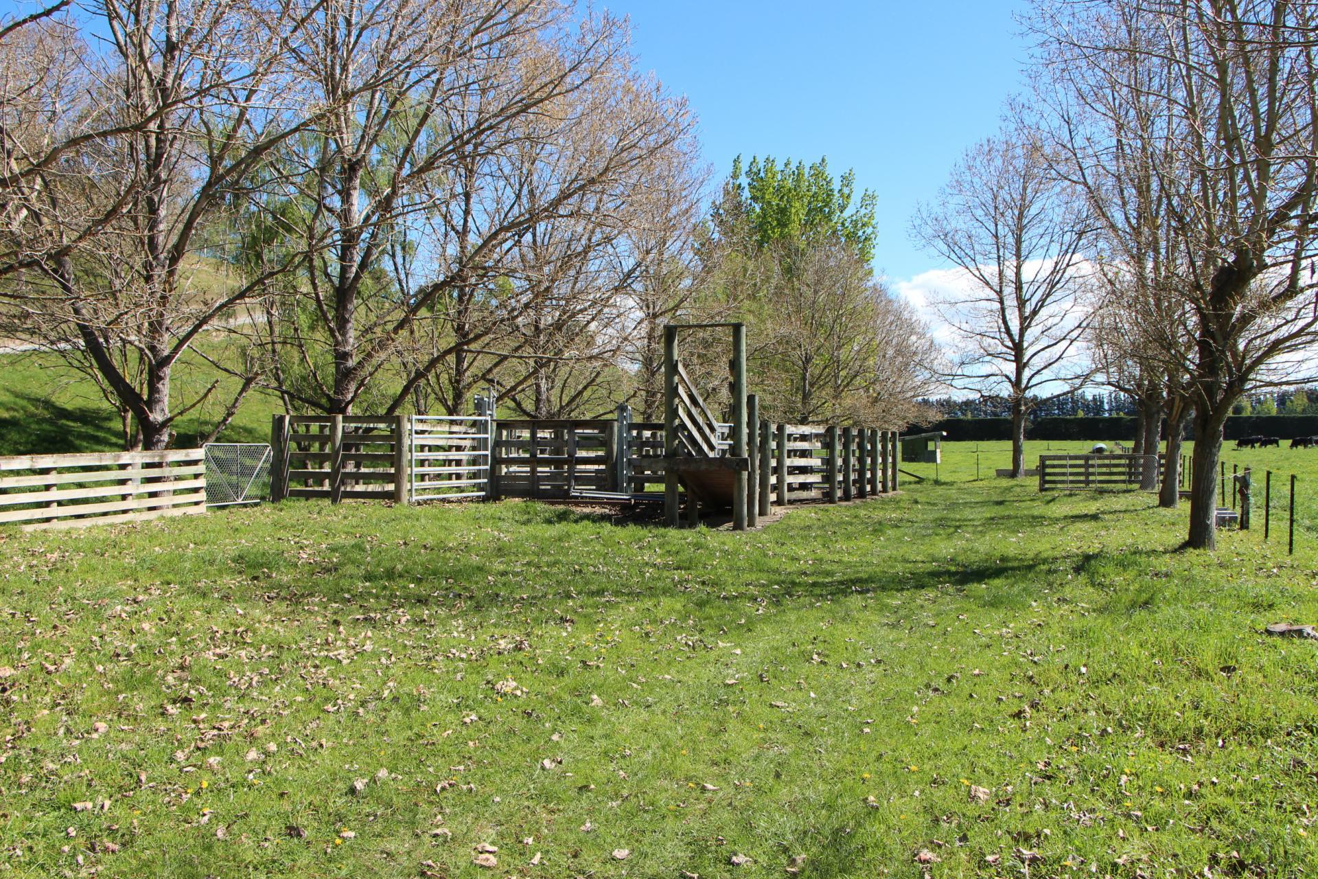 15 Pleasant Point Cave Highway, Pleasant Point