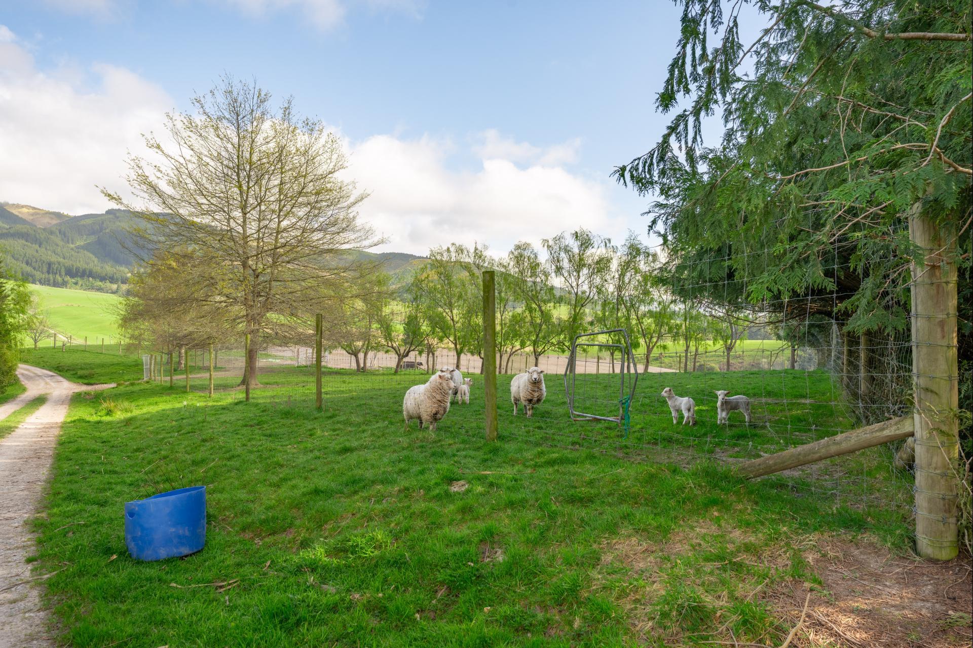 146 Woodside Road, Pleasant Valley