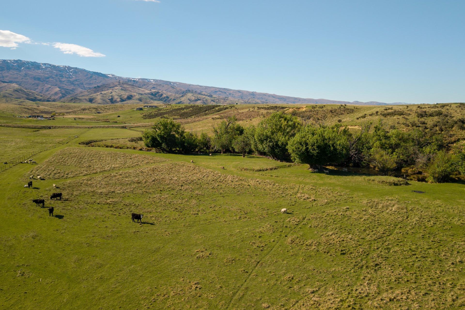 421 Nelsen Ridge Road, Alexandra