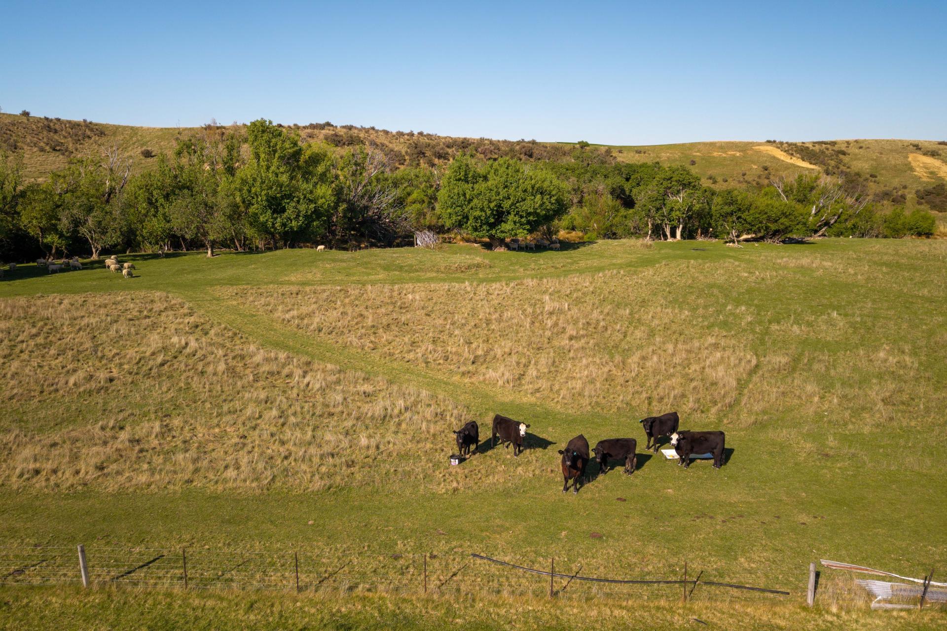 421 Nelsen Ridge Road, Alexandra