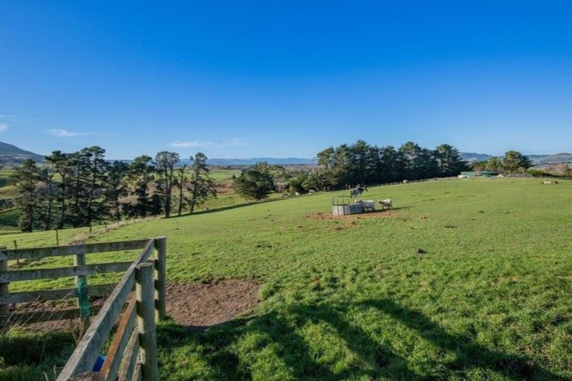 796 Maungatua Road, Berwick