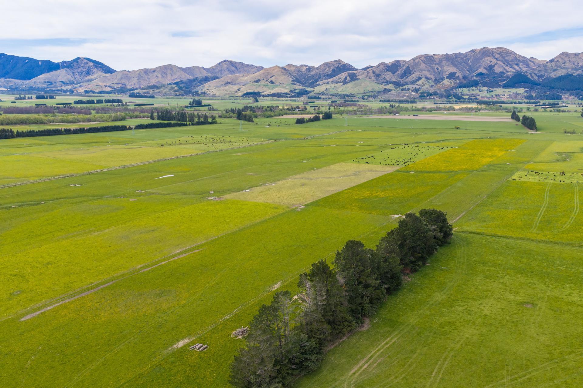 163 Woodbank Road, Hanmer Springs