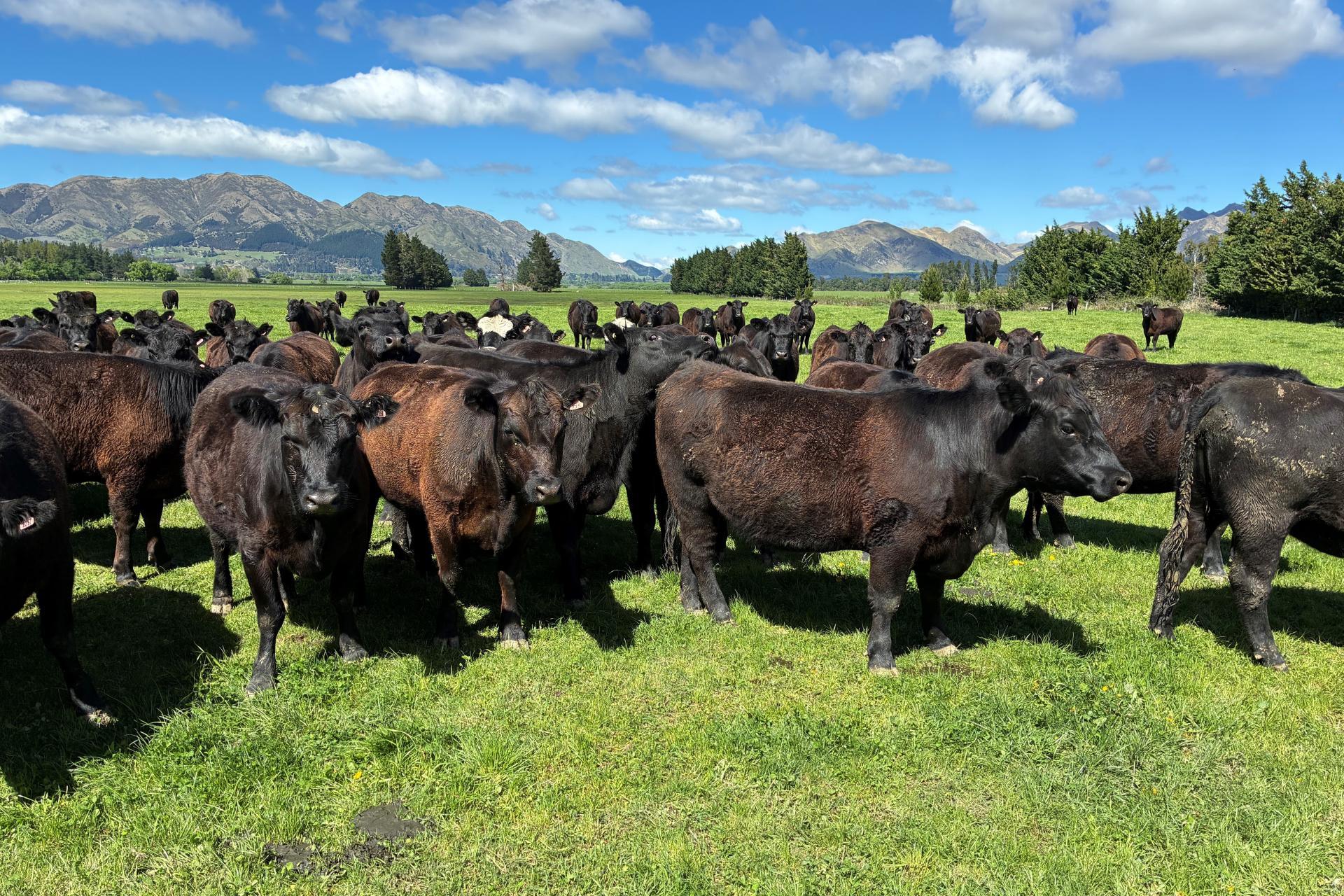 163 Woodbank Road, Hanmer Springs