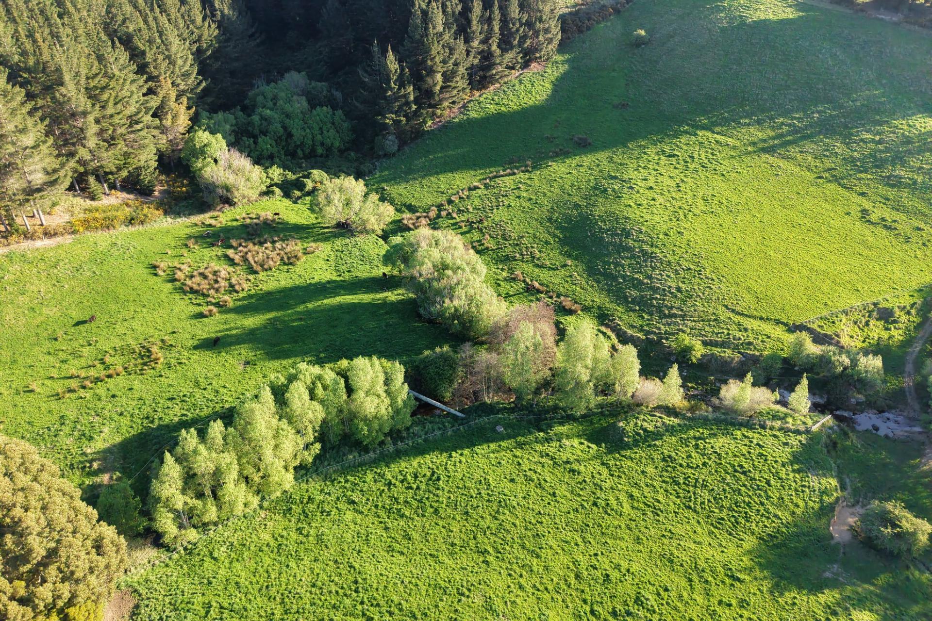 571 Three Mile Hill Road, North Taieri