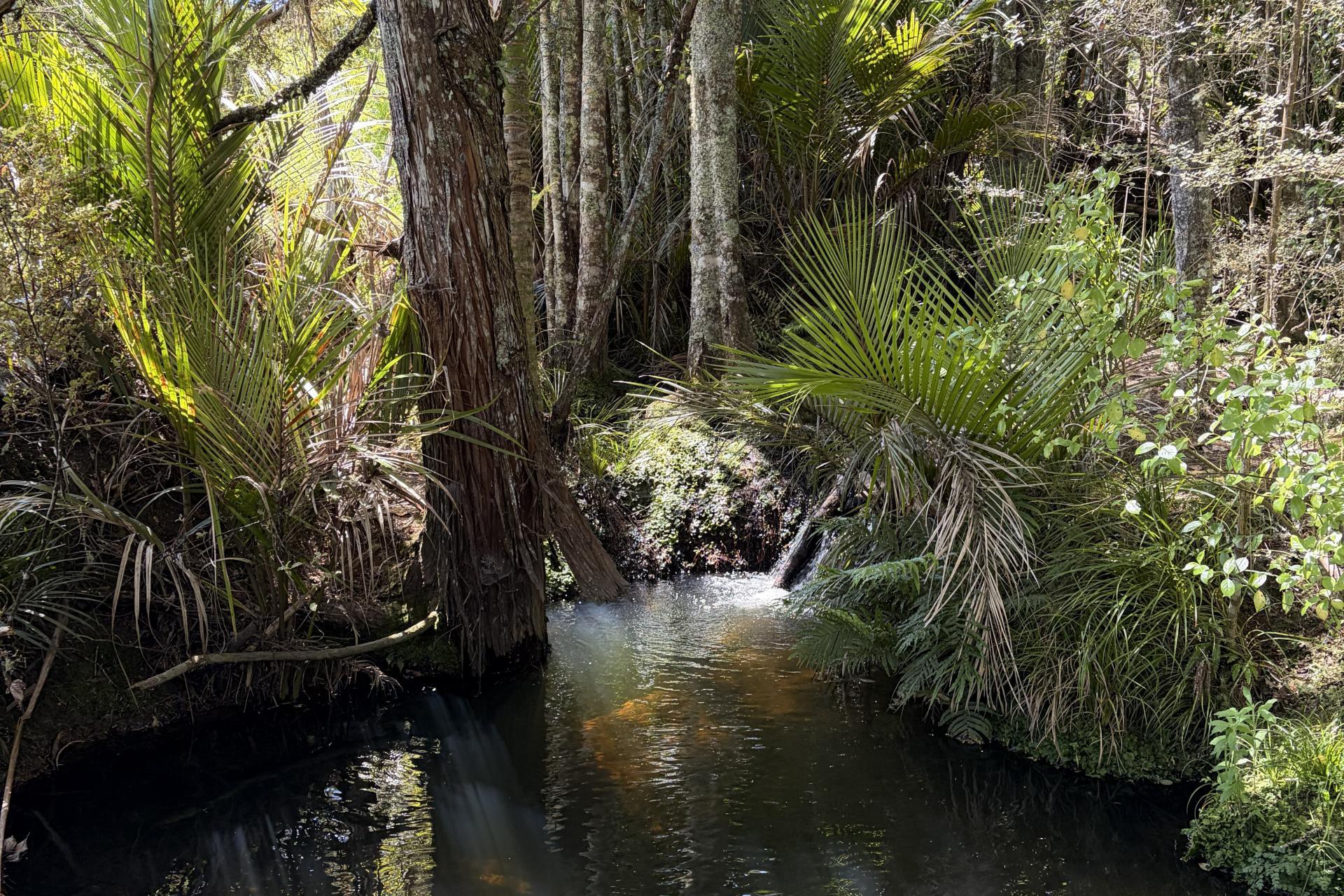 Tremain Road, Ruatangata West