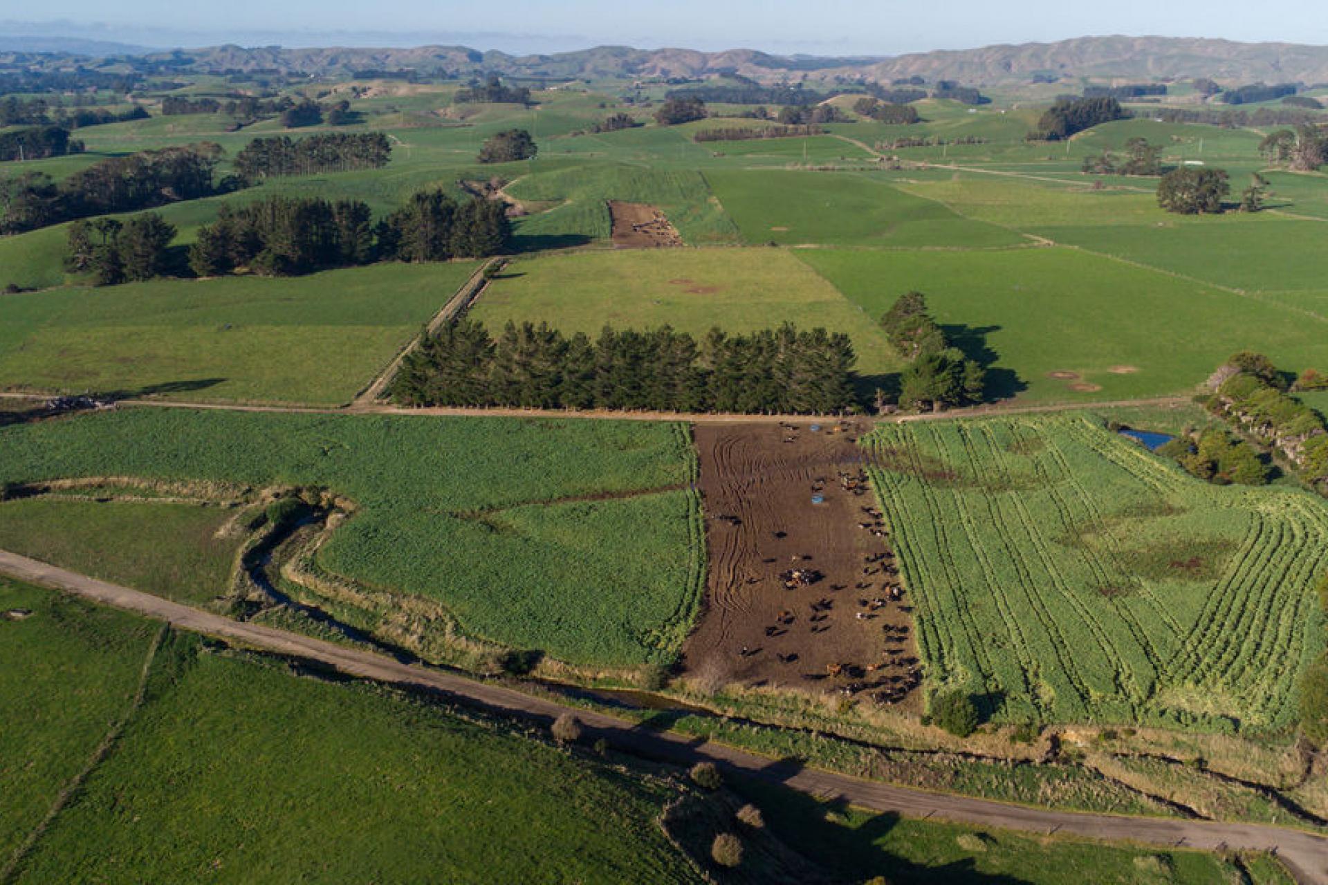 454 Parkville Road, Eketahuna