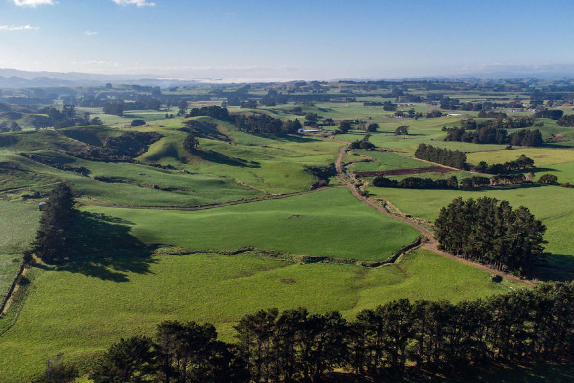 454 Parkville Road, Eketahuna