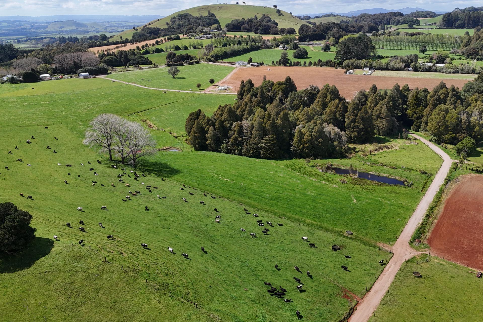 664 Te Pua Road, Kaikohe