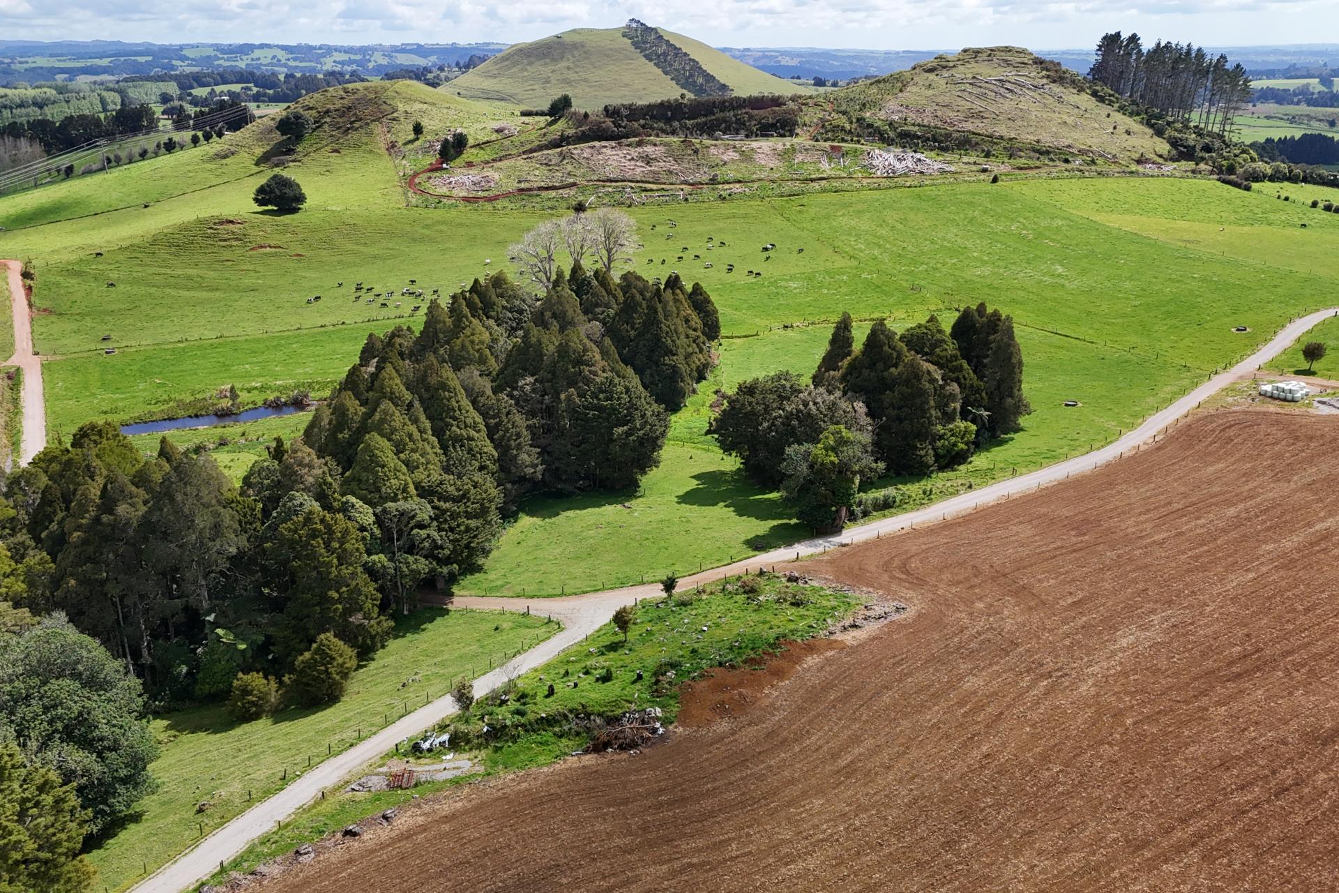664 Te Pua Road, Kaikohe