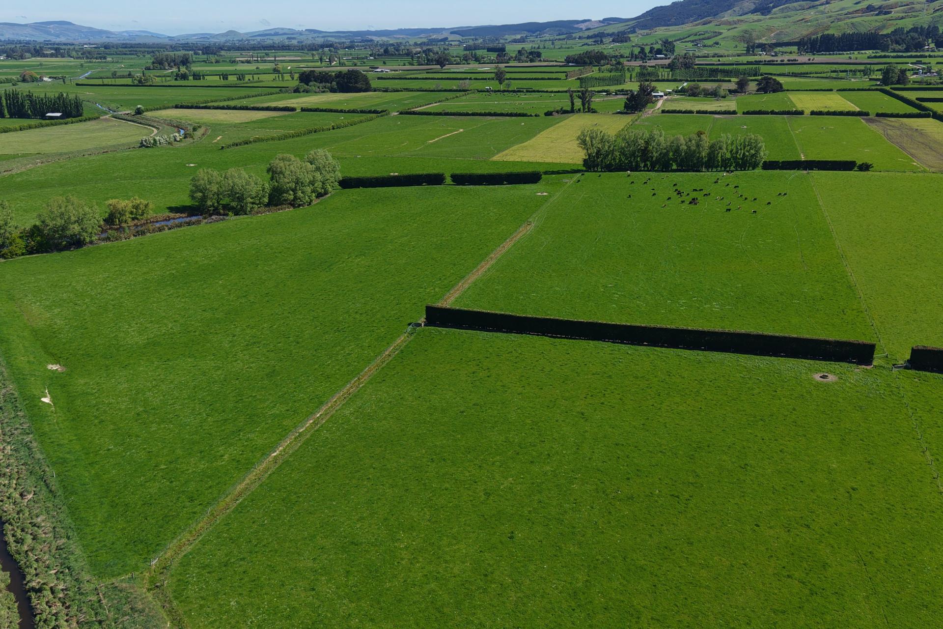 35 Maungatua Road, Taieri Plain
