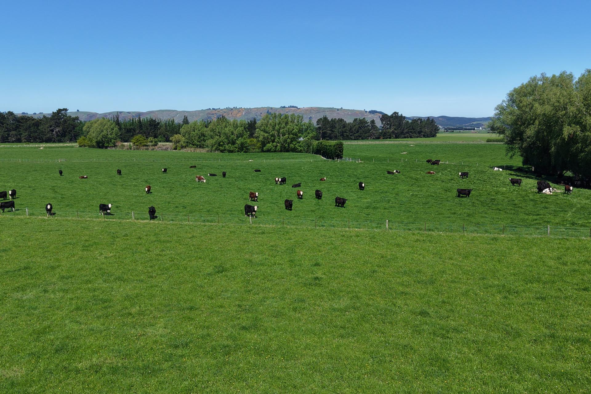 35 Maungatua Road, Taieri Plain