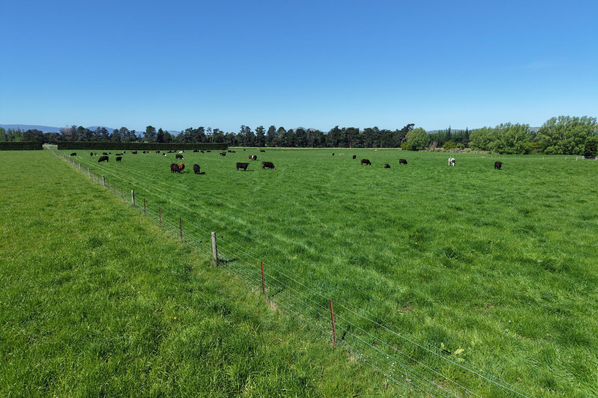 35 Maungatua Road, Taieri Plain