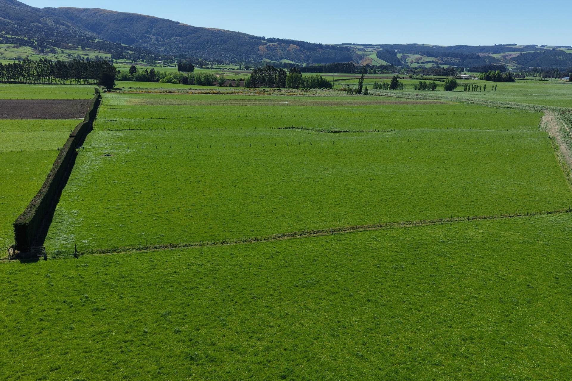 35 Maungatua Road, Taieri Plain