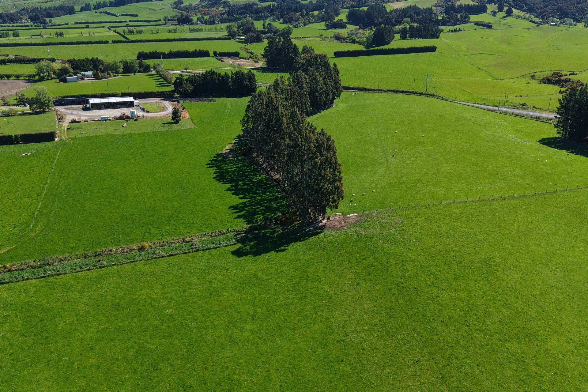 35 Maungatua Road, Taieri Plain